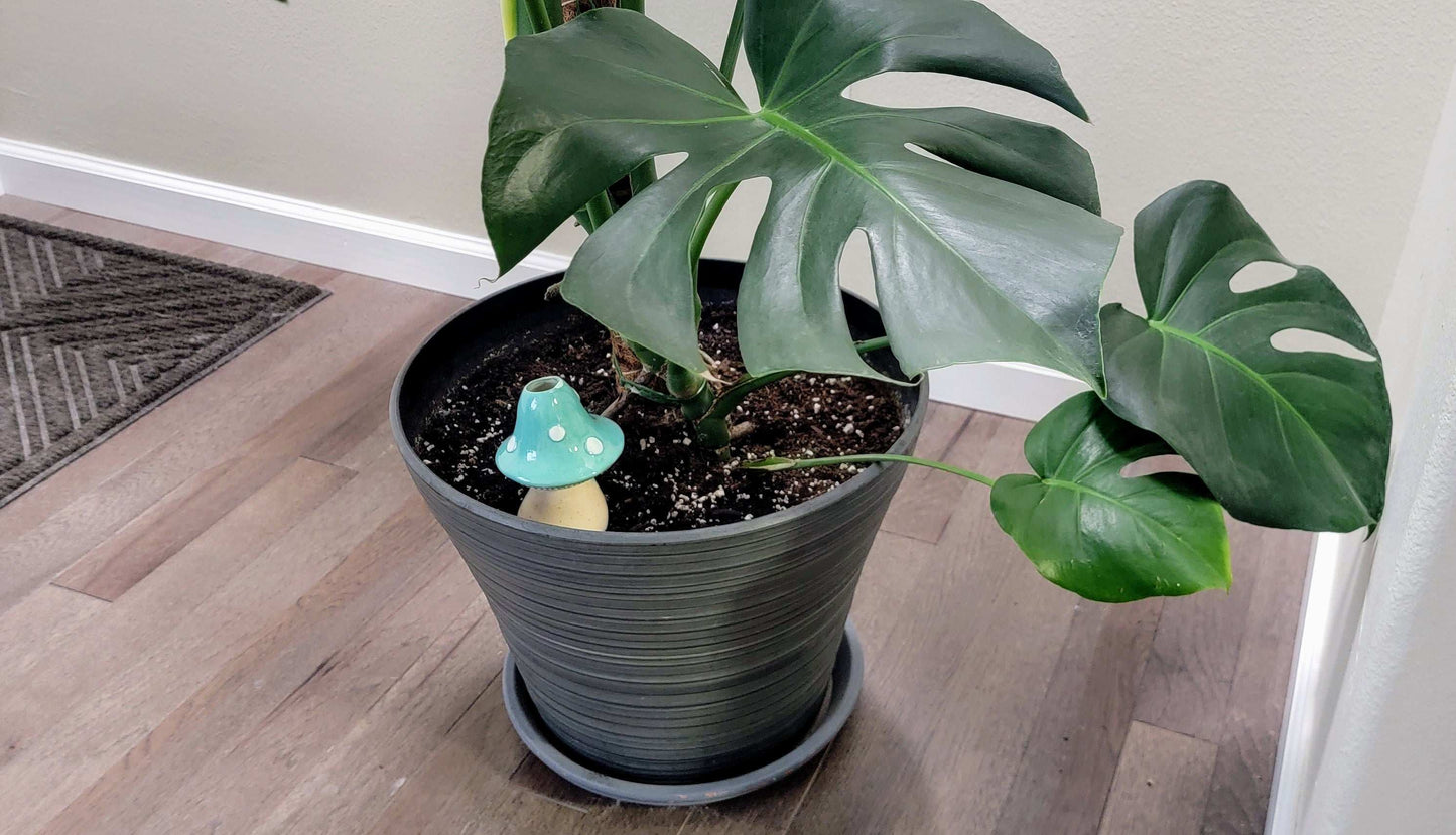 Extra-Large Toadstool Plant Watering Spike