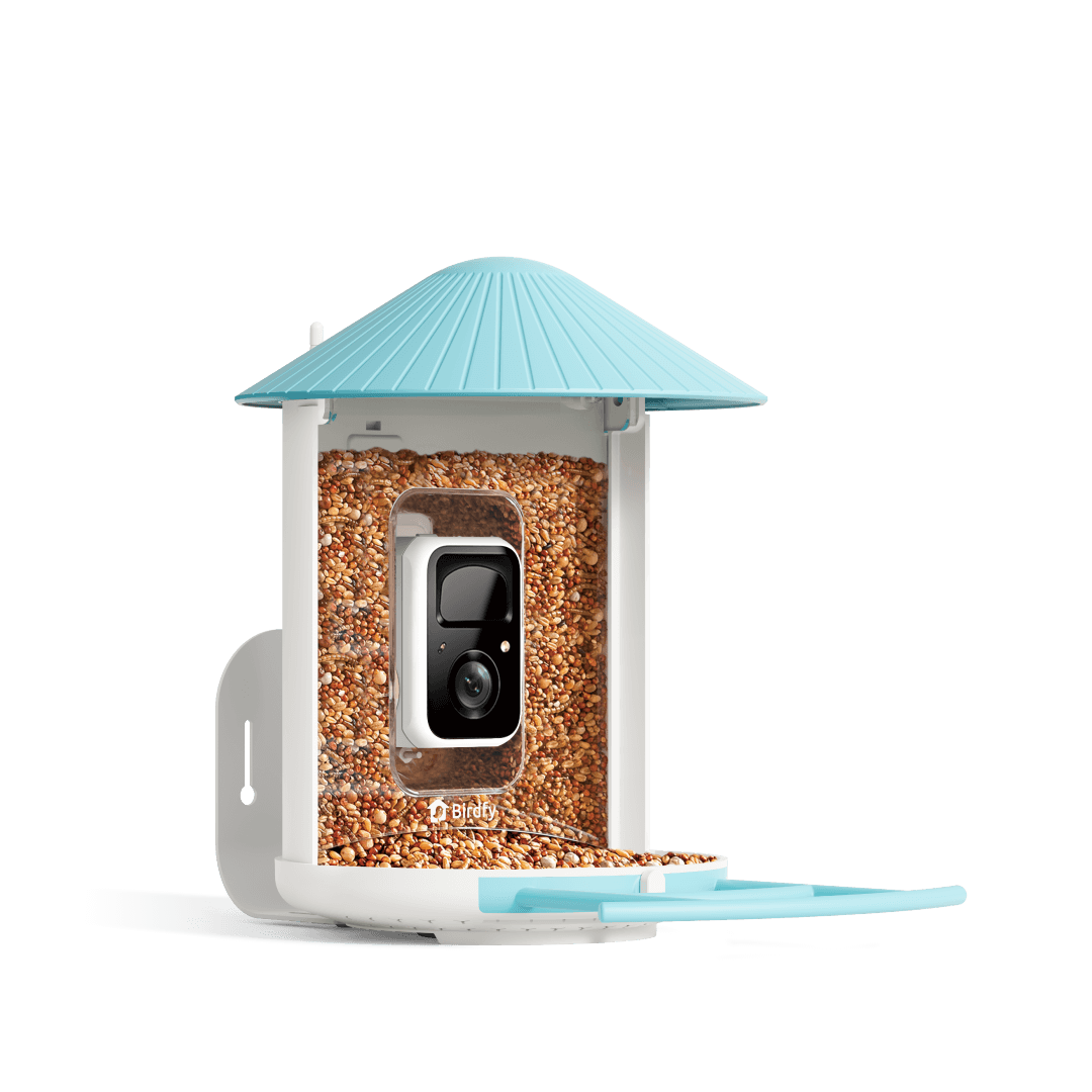 AI-Powered Smart Bird Feeder with Camera