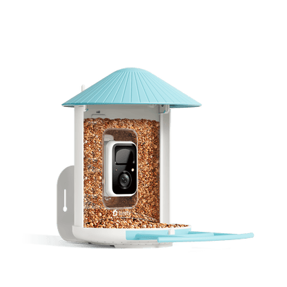 AI-Powered Smart Bird Feeder with Camera