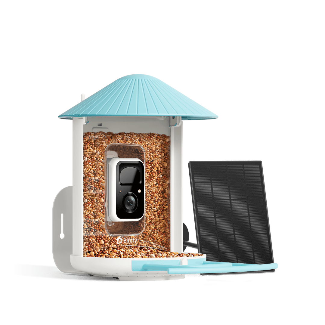Solar Smart Bird Feeder with AI HD Camera