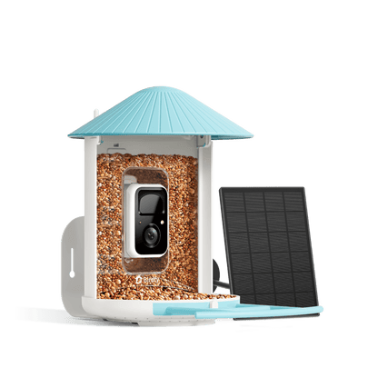 Solar Smart Bird Feeder with AI HD Camera