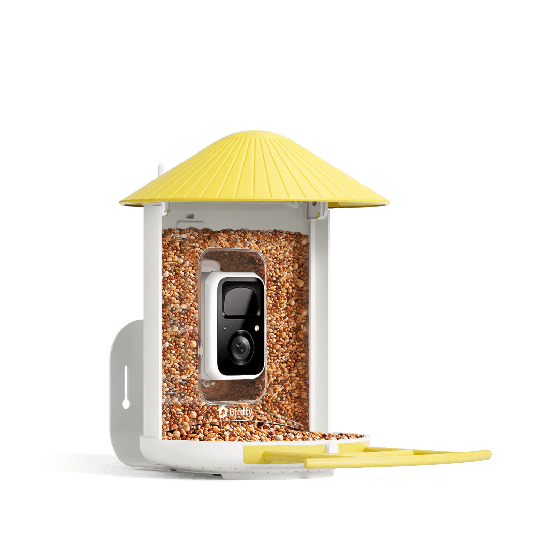 AI-Powered Smart Bird Feeder with Camera