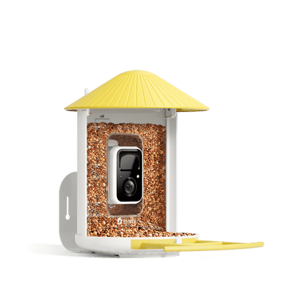 AI-Powered Smart Bird Feeder with Camera