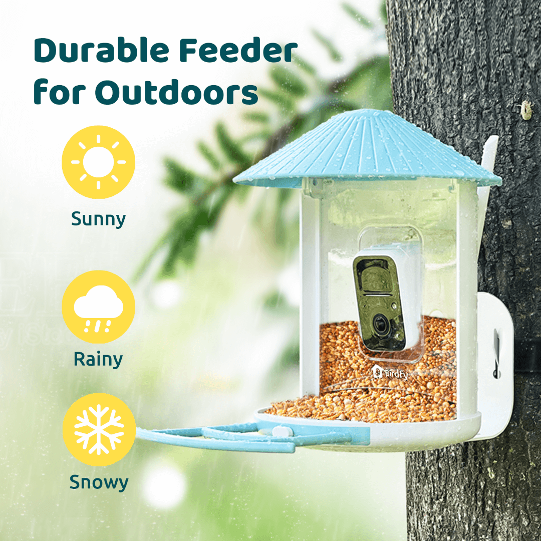 AI-Powered Smart Bird Feeder with Camera