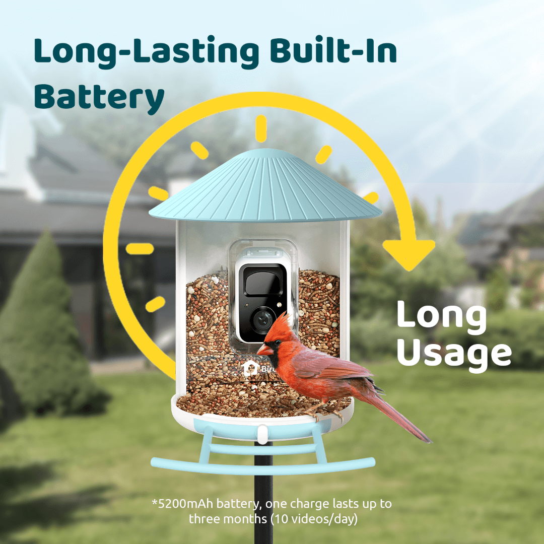 Solar Smart Bird Feeder with AI HD Camera