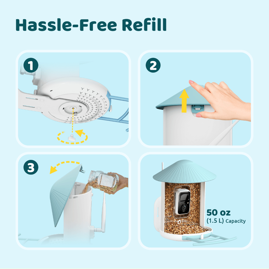 Solar Smart Bird Feeder with AI HD Camera