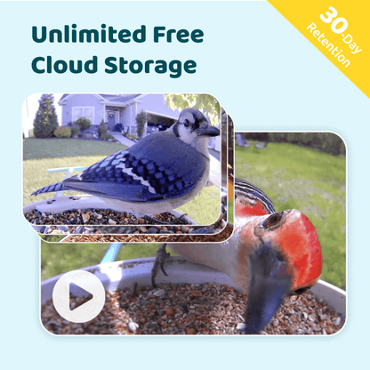 AI-Powered Smart Bird Feeder with Camera