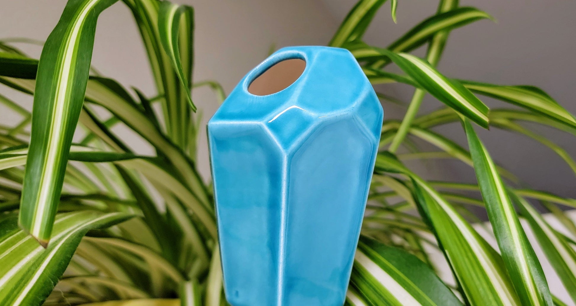 Large Diamond Crystal Plant Watering Spike – Self-Watering Tool with Glaze Finish