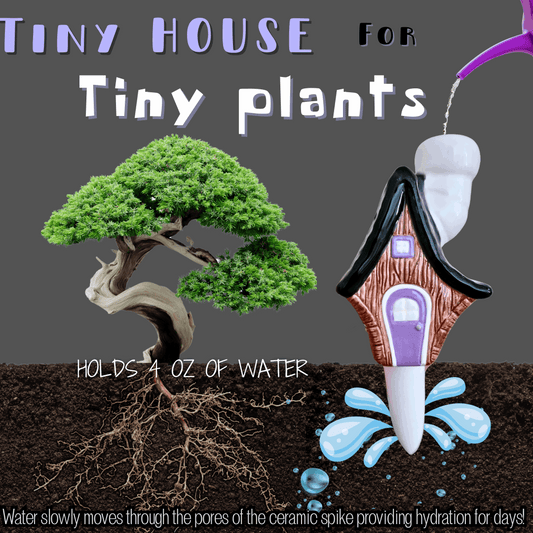 House Plant Watering Spike – Adorable Home-Shaped Self-Watering Tool