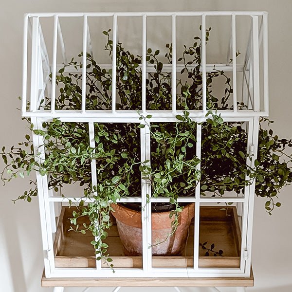 Greenhouse Style Outdoor Plant Stand with Swing Doors – White Metal & Wood Base