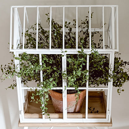 Greenhouse Style Outdoor Plant Stand with Swing Doors – White Metal & Wood Base