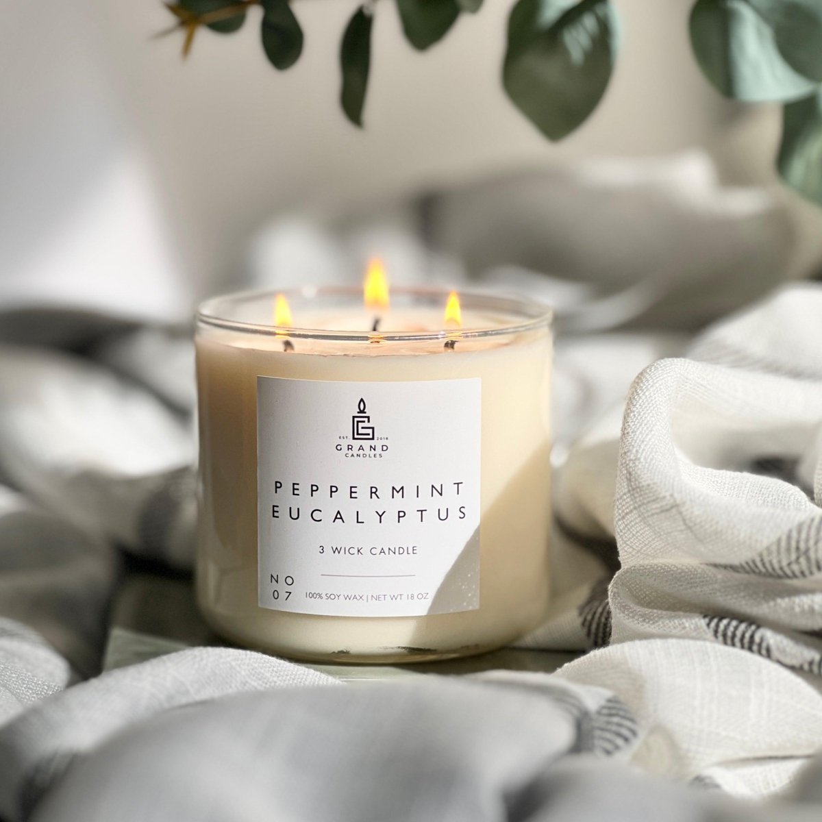 Peppermint Eucalyptus Candle