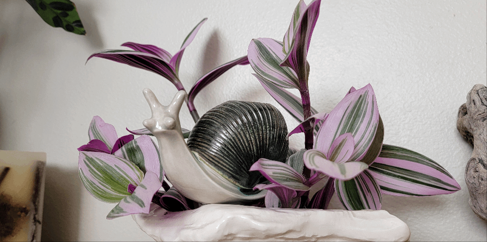Large Snail Ceramic Plant Watering Spike