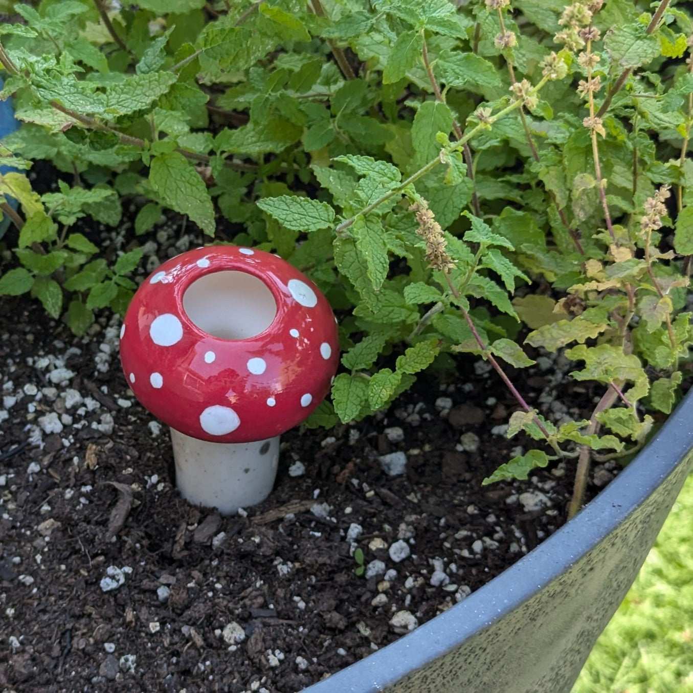 Hand-Crafted Mushroom Plant Watering Spike – Exclusive Mountain Mudworks Design