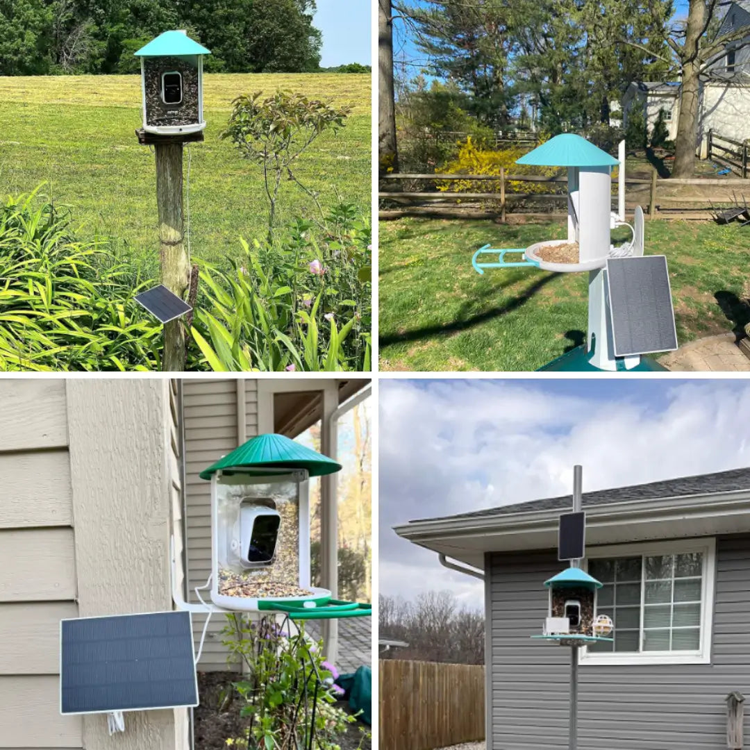 Solar Smart Bird Feeder with AI HD Camera